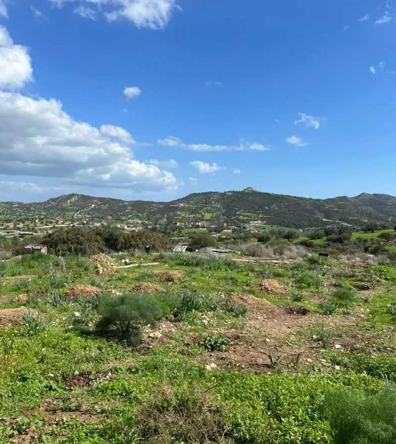 Agricultural Plot 8362 m² in Agios Theodoros