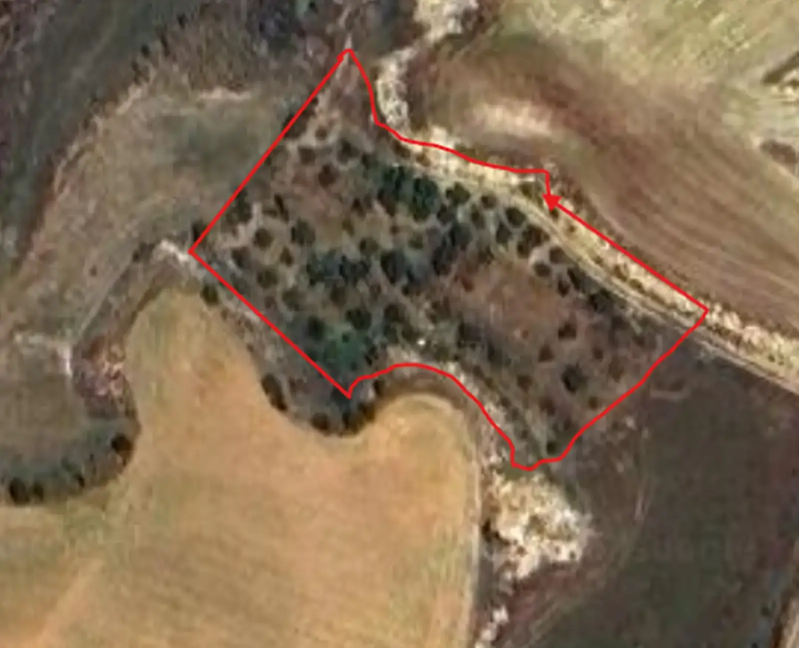 Γεωργικό χωράφι 2,680 m² προς πώληση στην περιοχή Ergates