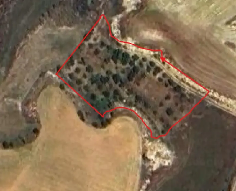 Agricultural Field 2680 m² in Ergates