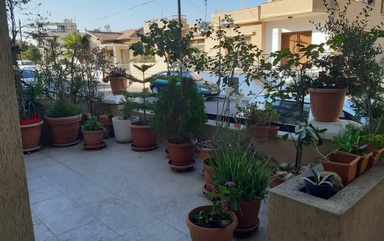 2-bedroom semi-detached to rent in Apostolos Andreas