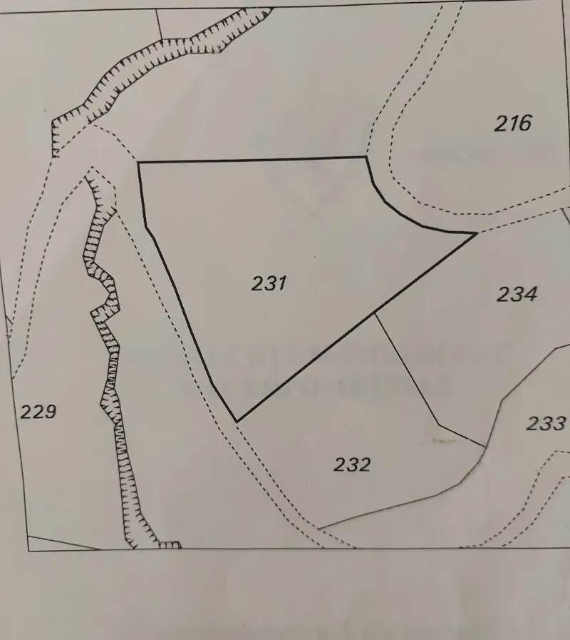 Agricultural Plot 12000 m² in Arsos Lemesou
