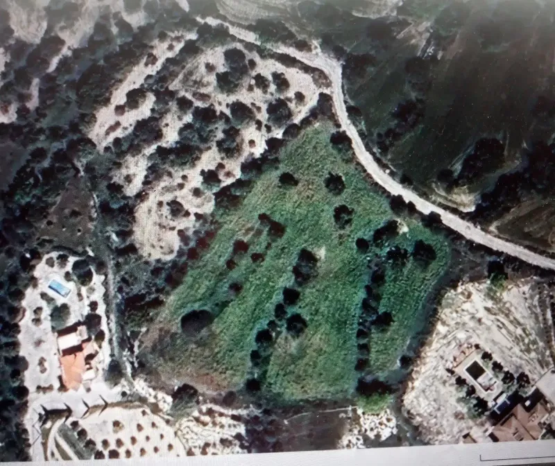 Residential Field 13044 m² in Drymou