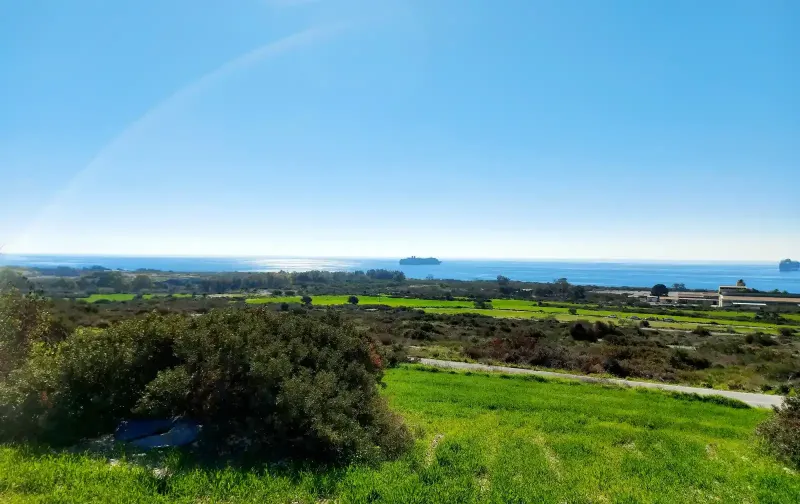 Agricultural Field 12710 m² in Pyrgos Lemesou