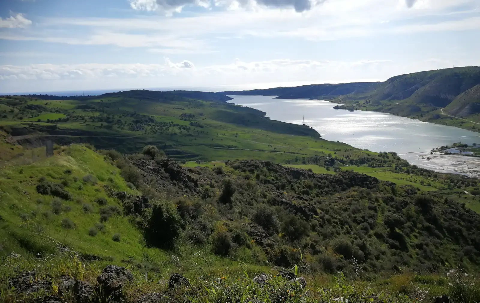 Agricultural Field 6926 m² in Choletria