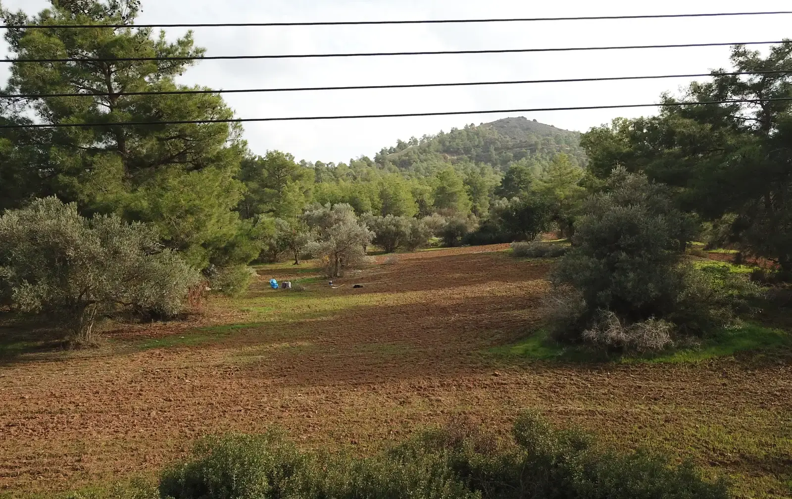 Residential Plot 2500 m² in Pyrga Larnakas
