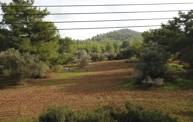 Residential Plot 2500 m² in Pyrga Larnakas
