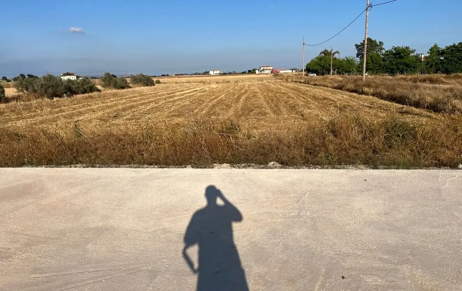 Agricultural Field 2969 m² in Xylofagou
