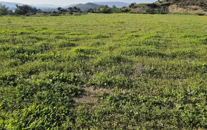 Agricultural Field 22105 m² in Monagroulli