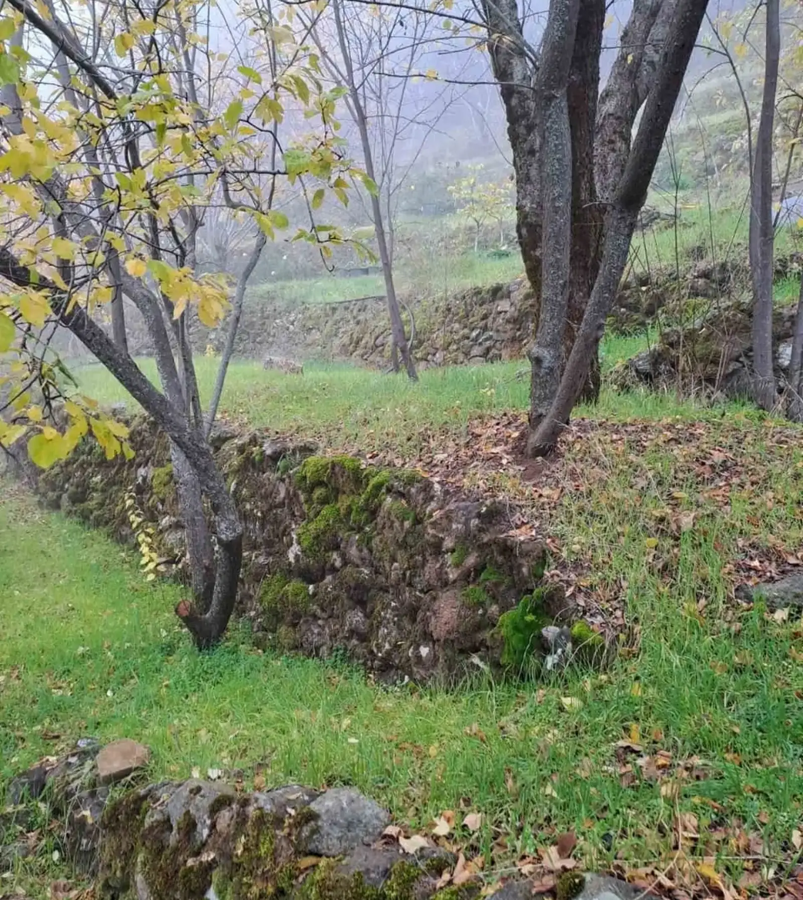 Residential Plot 1338 m² in Troodos