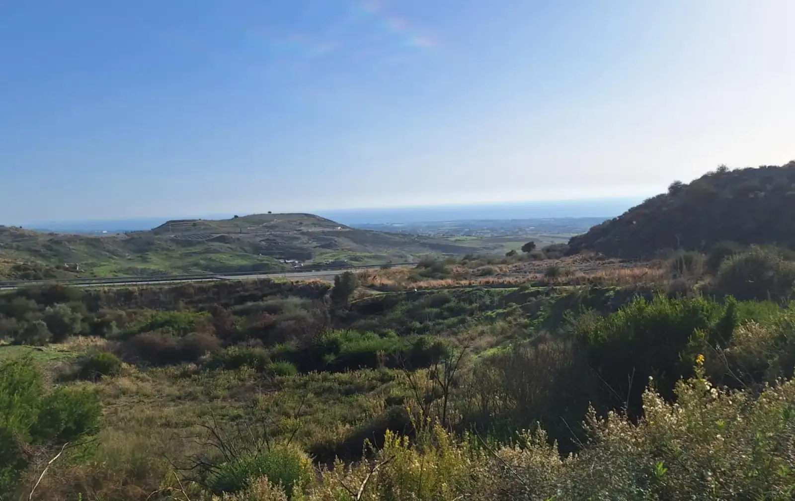 Agricultural Field 9565 m² in Anarita