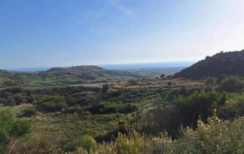 Agricultural Field 9565 m² in Anarita
