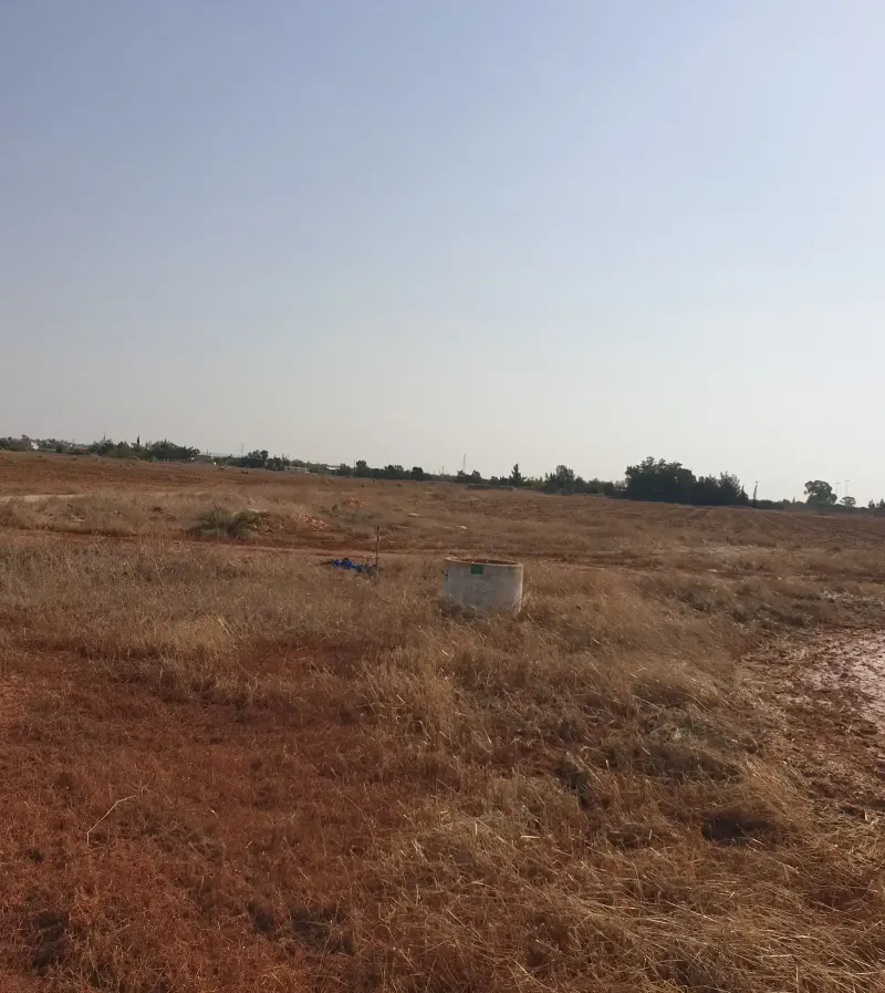 Agricultural Field 54000 m² in Avgorou
