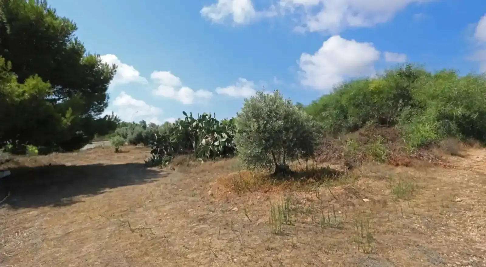 Residential Plot 1888 m² in Cape Greko