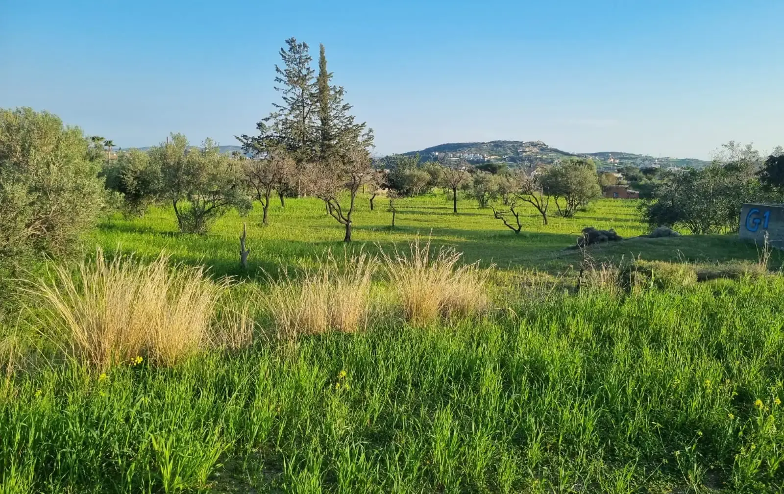 Οικιστική γη 9,040 m² προς πώληση στην περιοχή Parekklisia