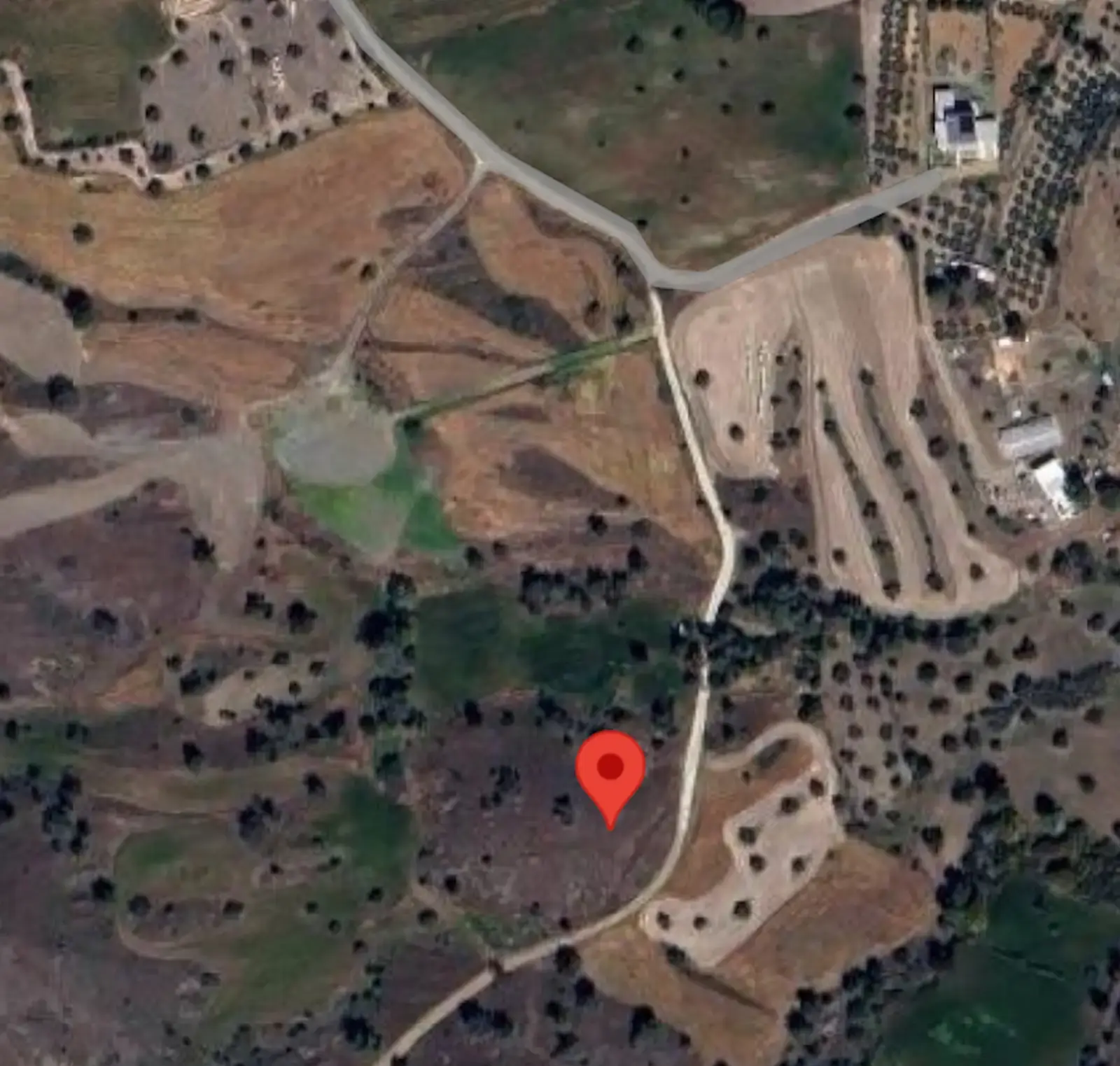 Agricultural Field 6091 m² in Sia