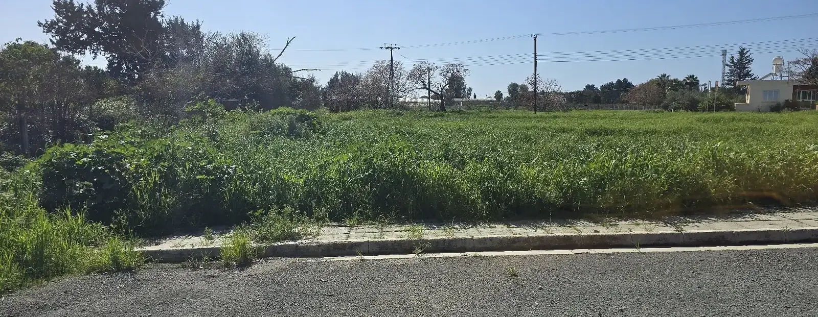 Residential Plot 434 m² in Timi