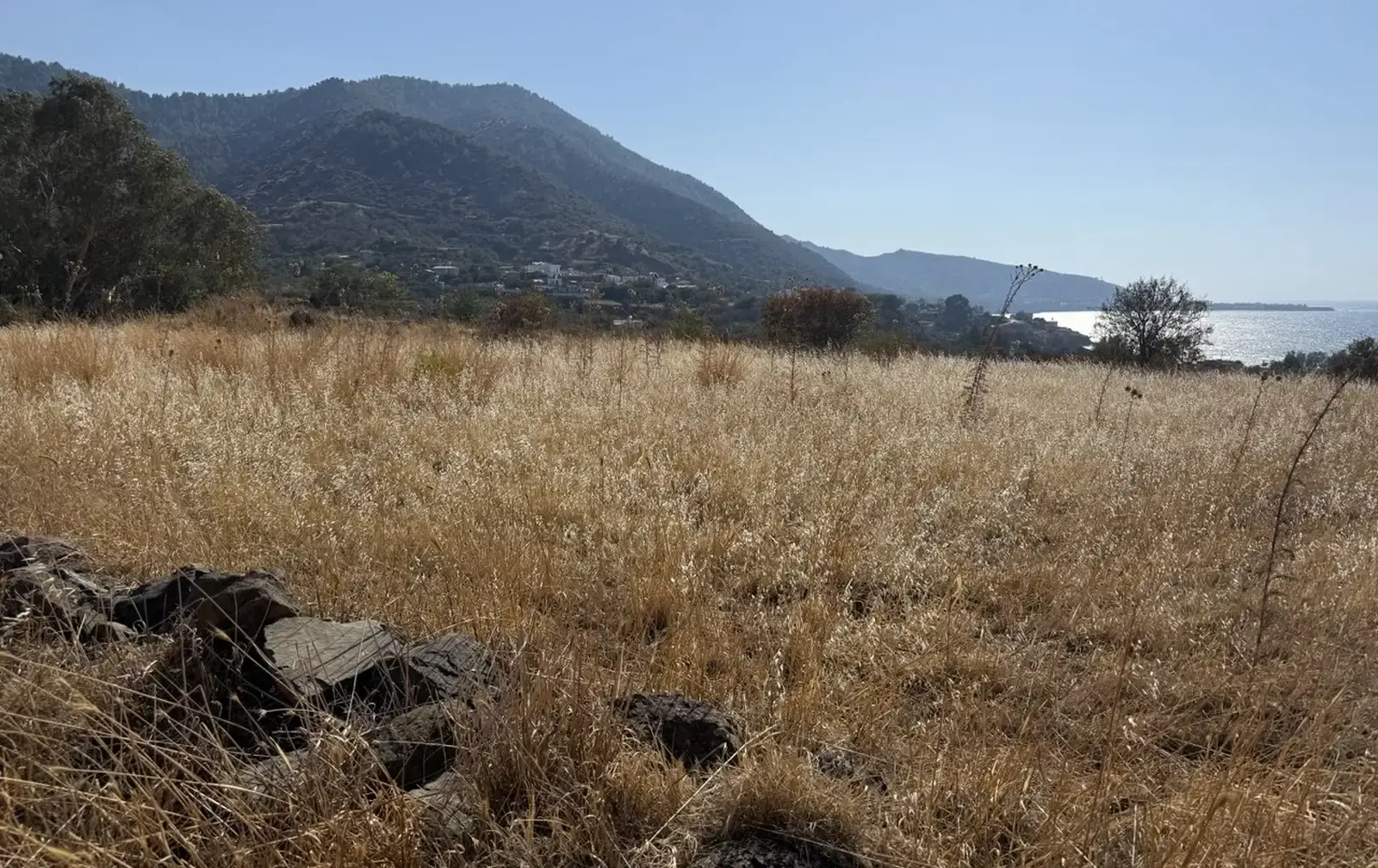 Residential Field 762 m² in Pachyammos