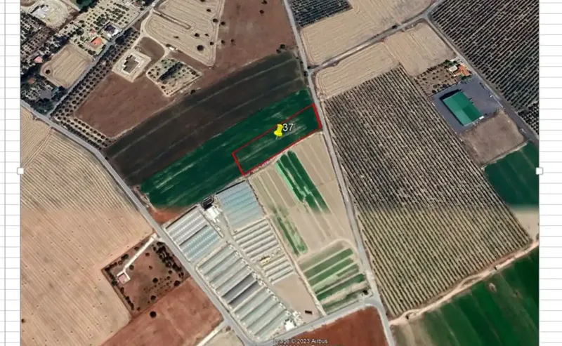 Agricultural Field 4489 m² in Dromolaxia