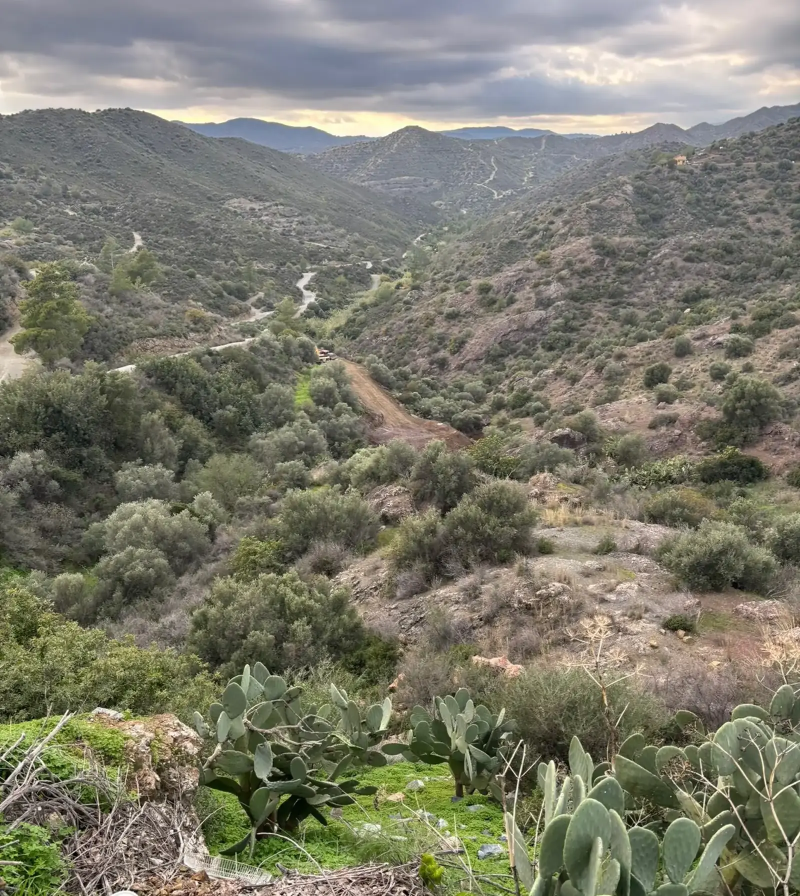 Residential Plot 3464 m² in Lageia