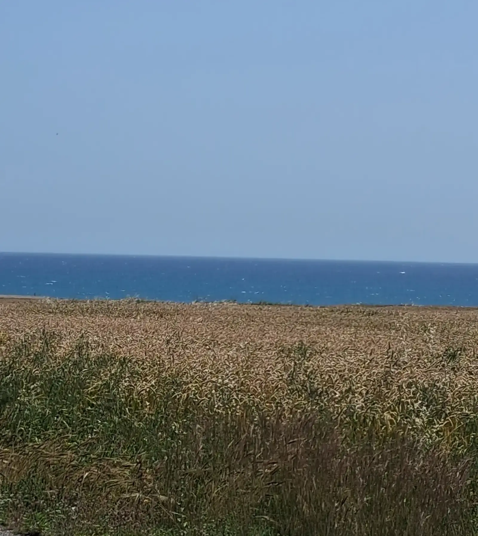 Tourist Plot 9000 m² in Zygi