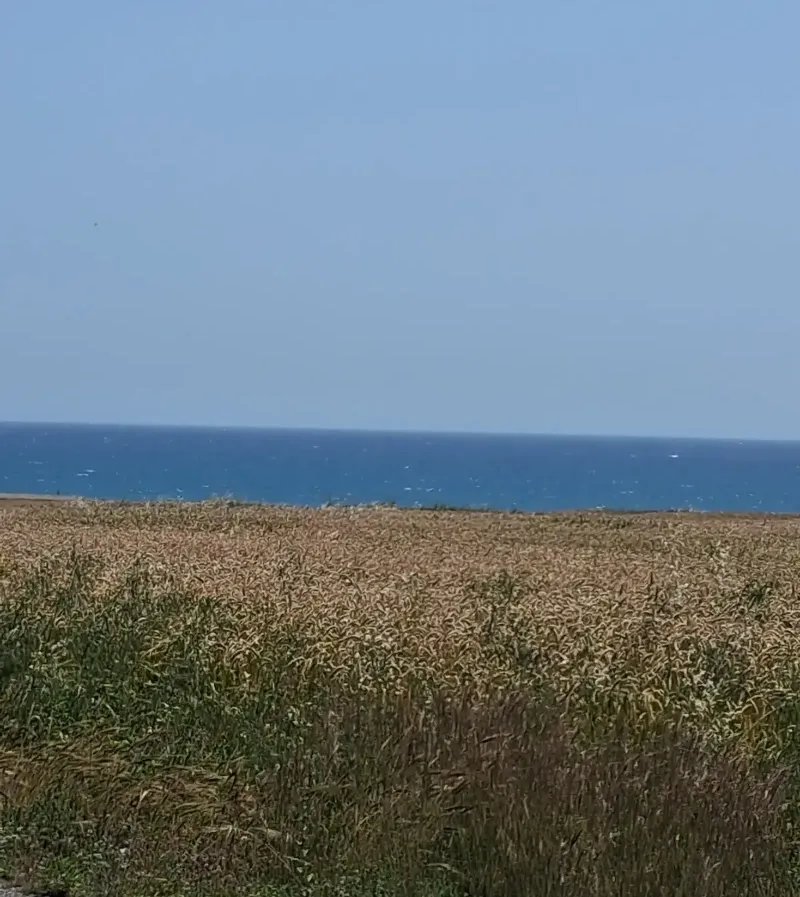 Tourist Plot 9000 m² in Zygi