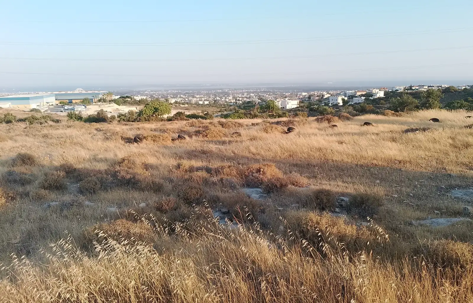 Industrial Field 8000 m² in Ypsonas