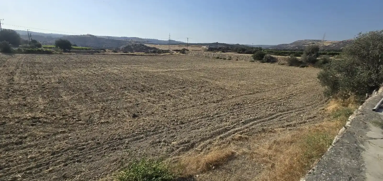 Γεωργικό χωράφι 7,000 m² προς ενοικίαση στην περιοχή Pissouri