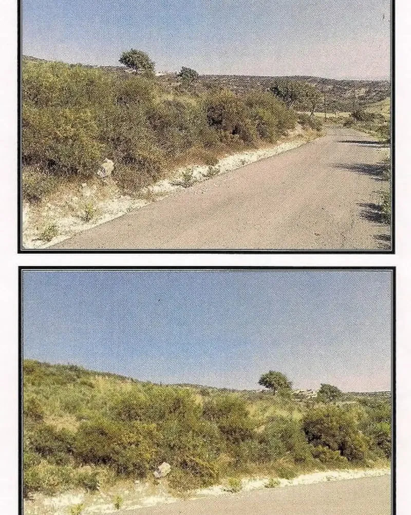 Agricultural Field 4014 m² in Pegeia