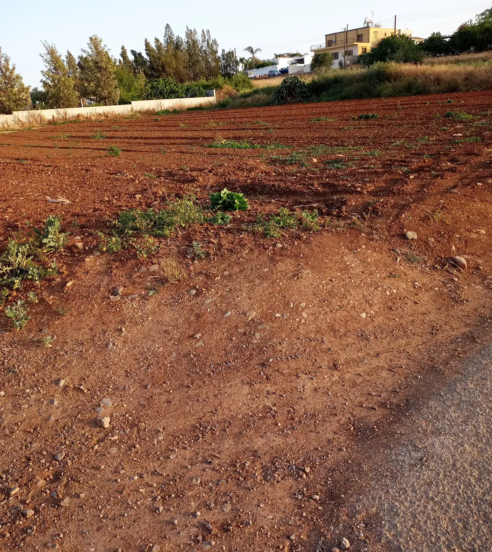 Residential Plot 1670 m² in Meniko