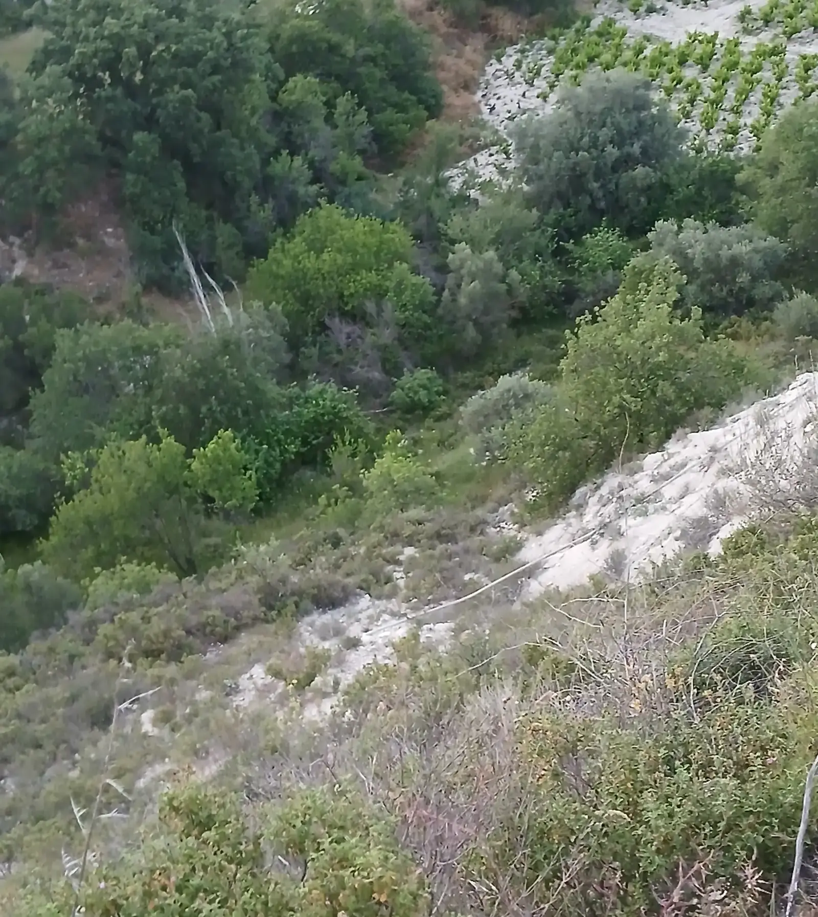 Residential Field 2500 m² in Agios Georgios Lemesou