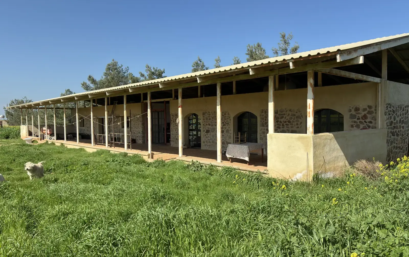 Horse farm house, for you and your horses, on 10,000m² in Orounta