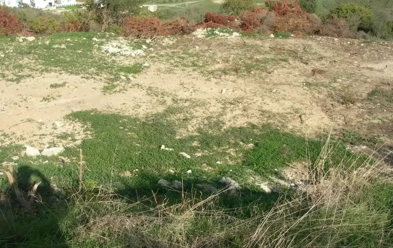 Residential Field 2007 m² in Foinikaria
