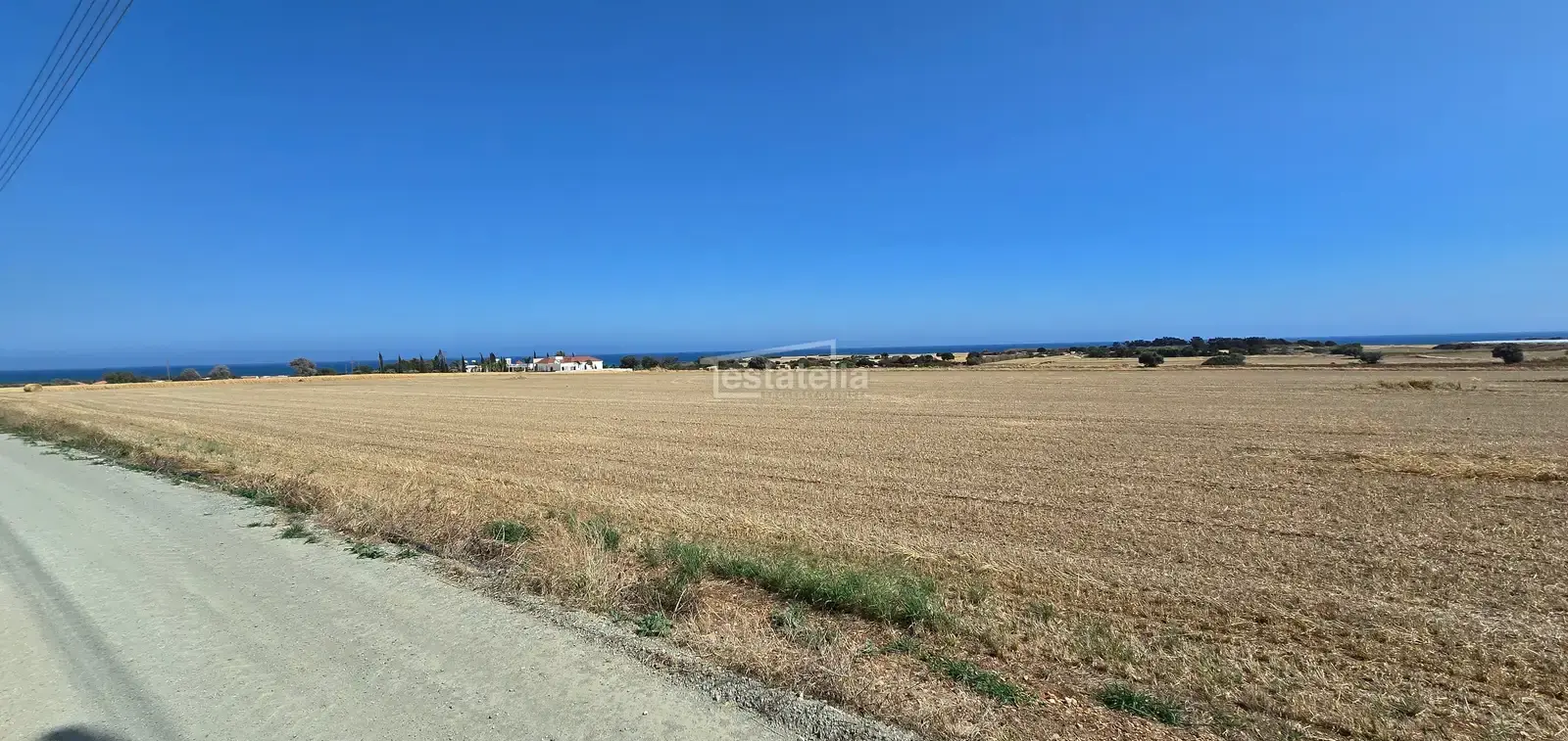 Agricultural Field 4525 m² in Mazotos