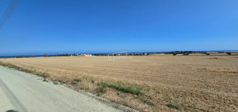 Agricultural Field 4525 m² in Mazotos