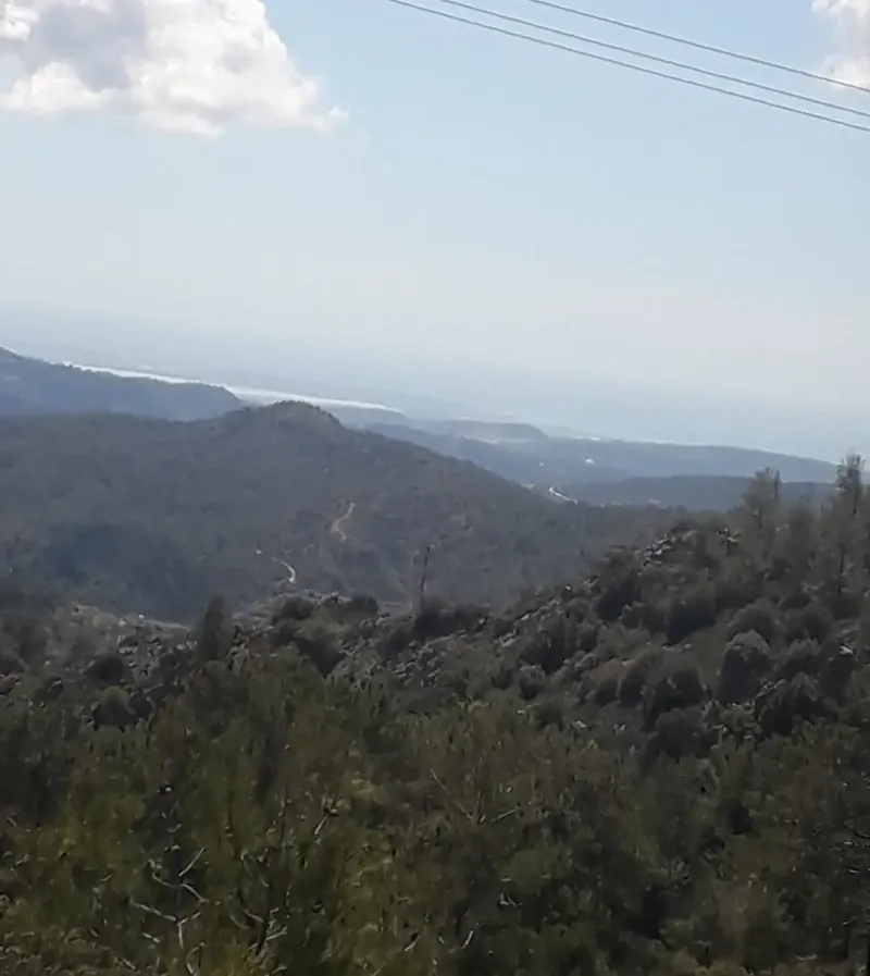 Residential Plot 3058 m² in Pelendri