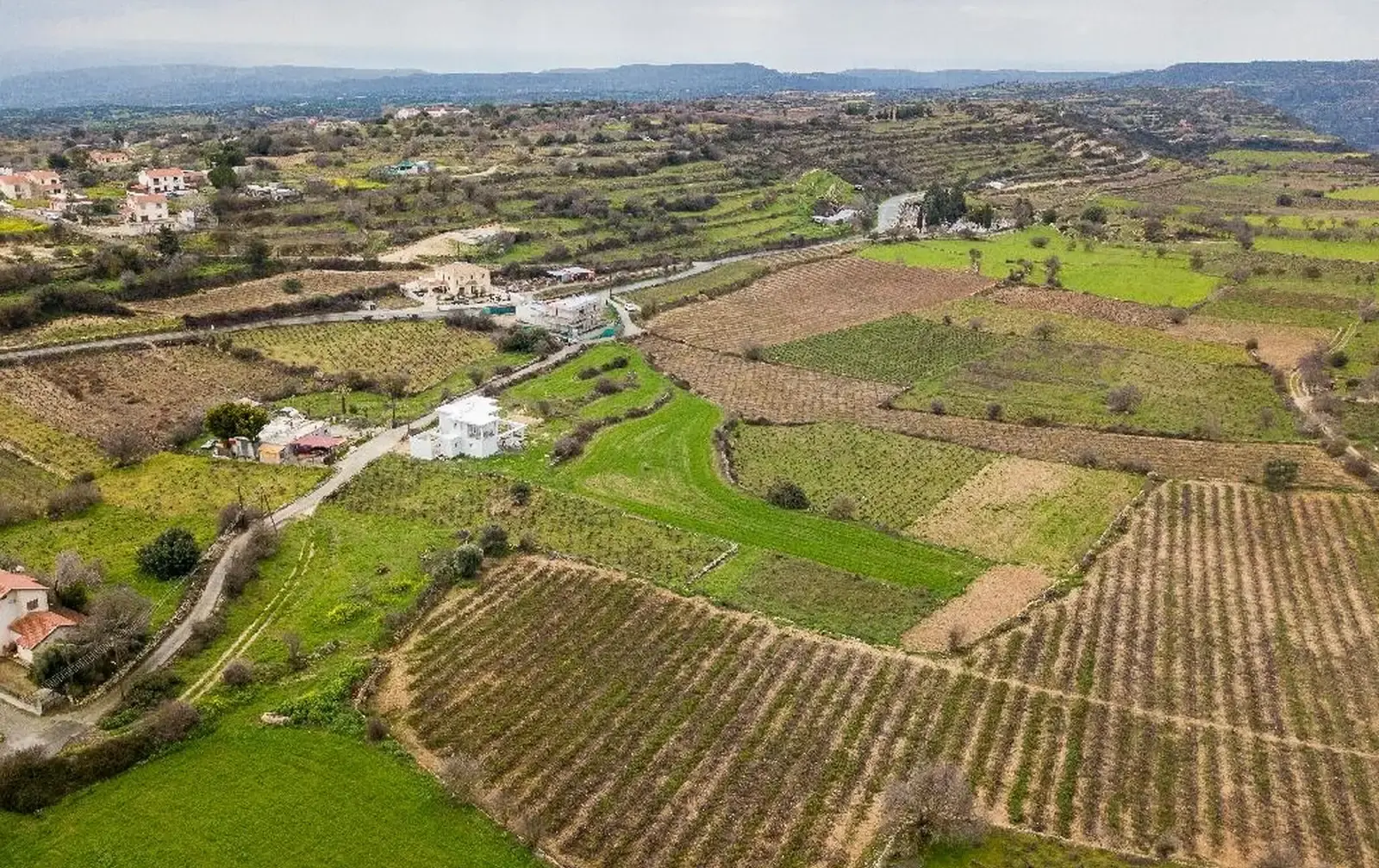 Residential land 6123 m² in Pachna