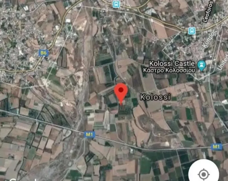 Agricultural Field 3679 m² in Kolossi -Agios Loukas