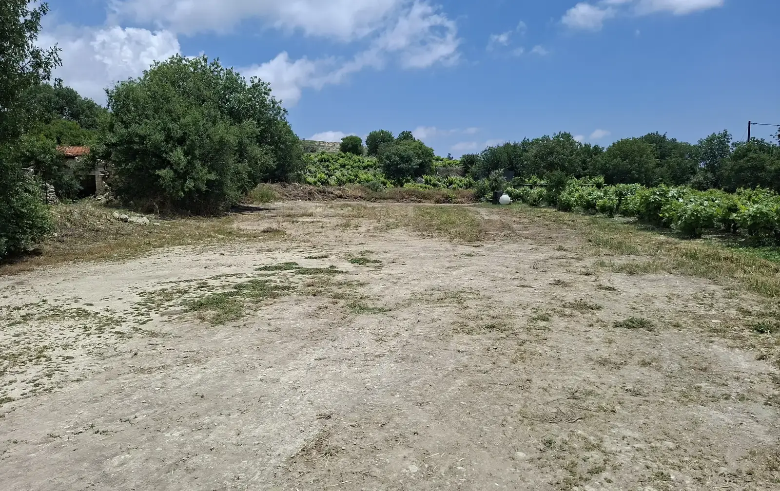 Residential Field 1320 m² in Vasa Koilaniou