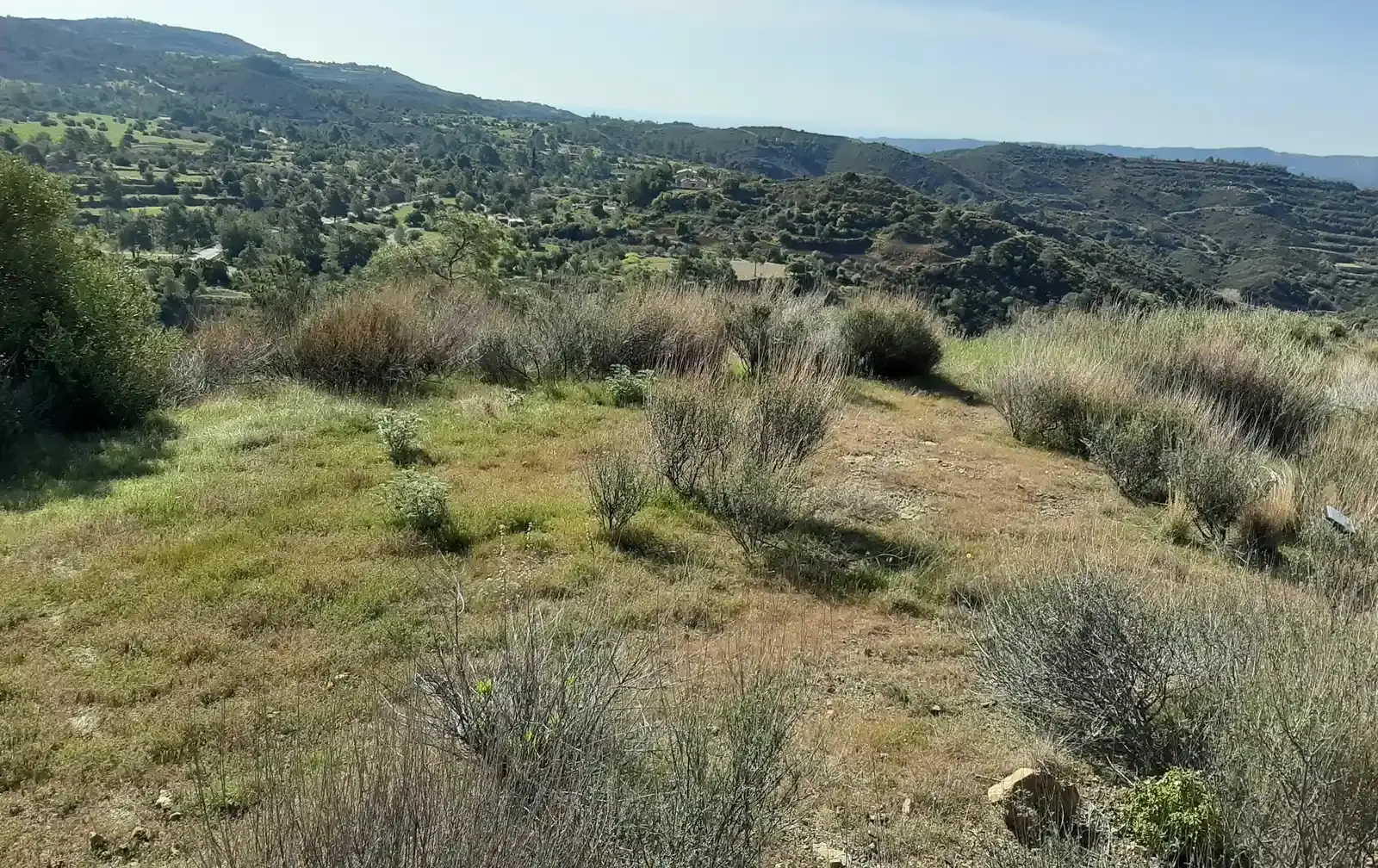 Γεωργικό χωράφι 2,342 m² προς πώληση στην περιοχή Lageia