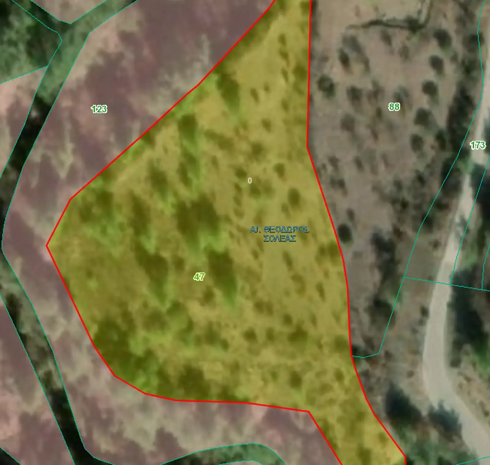 Agricultural Field 9325 m² in Agios Theodoros Soleas
