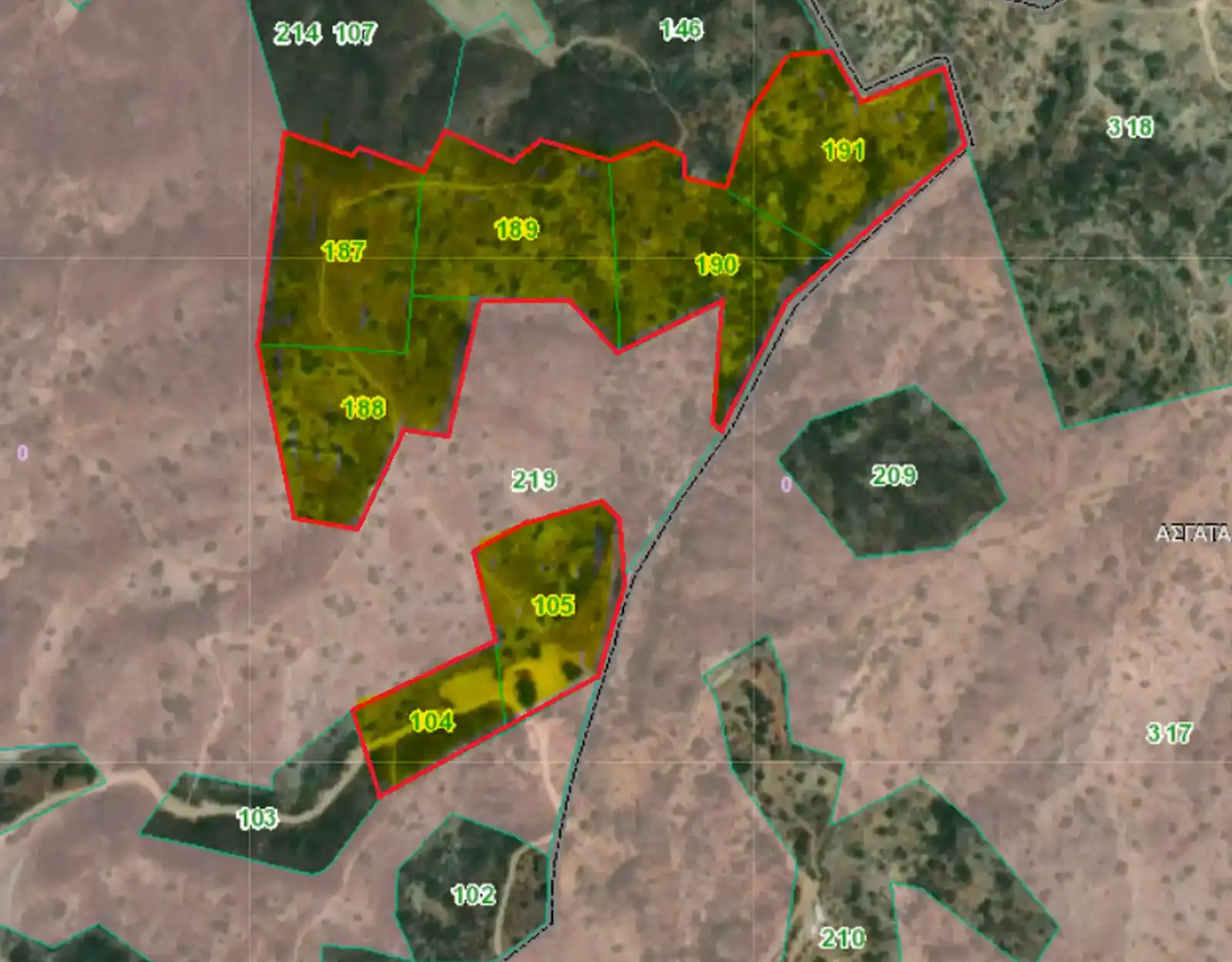 Agricultural Field 45489 m² in Vasa Kellakiou