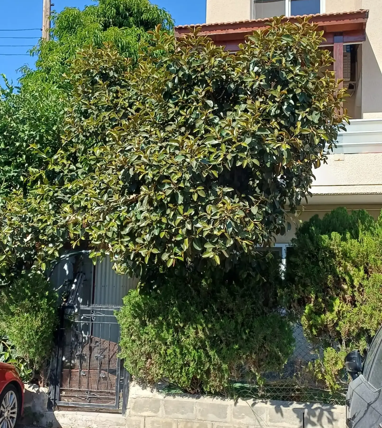 3-bedroom apartment to rent in Agios Georgios(Fragk)