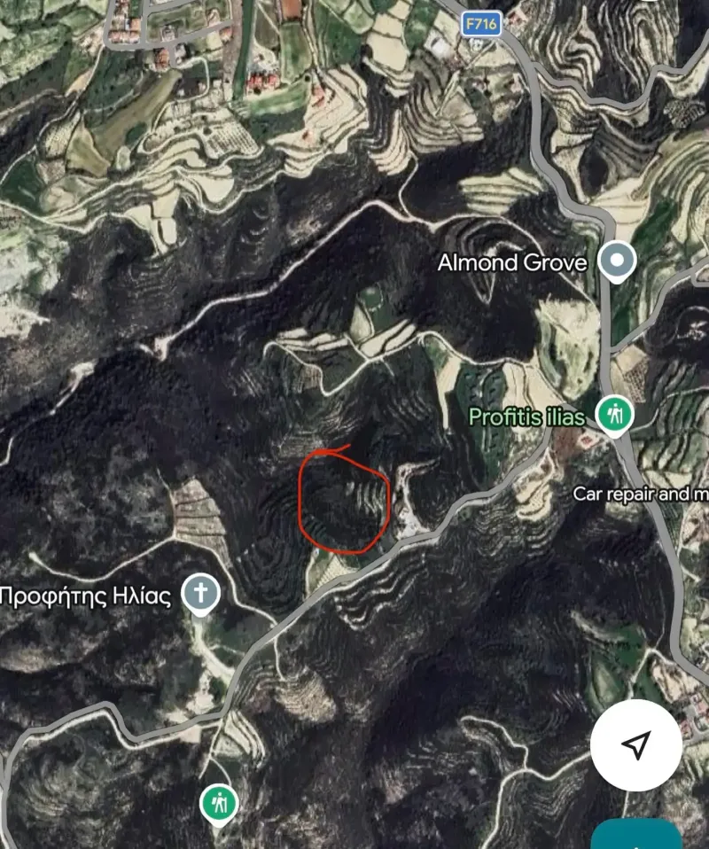Agricultural Field 4000 m² in Tsada