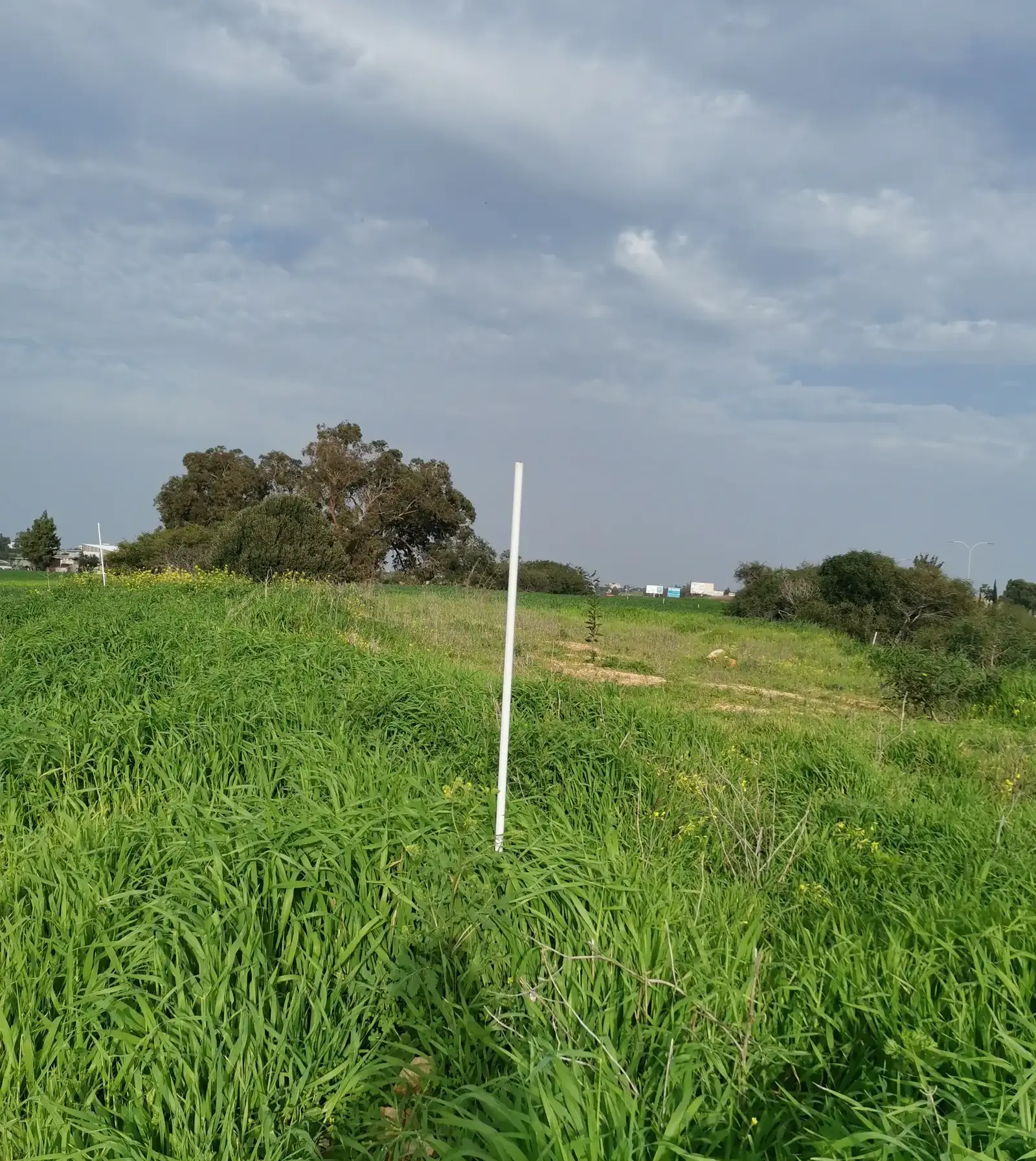 Residential Plot 288 m² in Paralimni