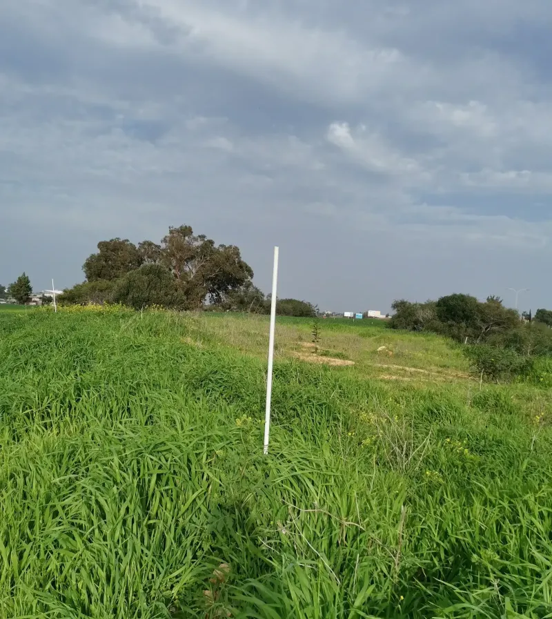 Residential Plot 288 m² in Paralimni
