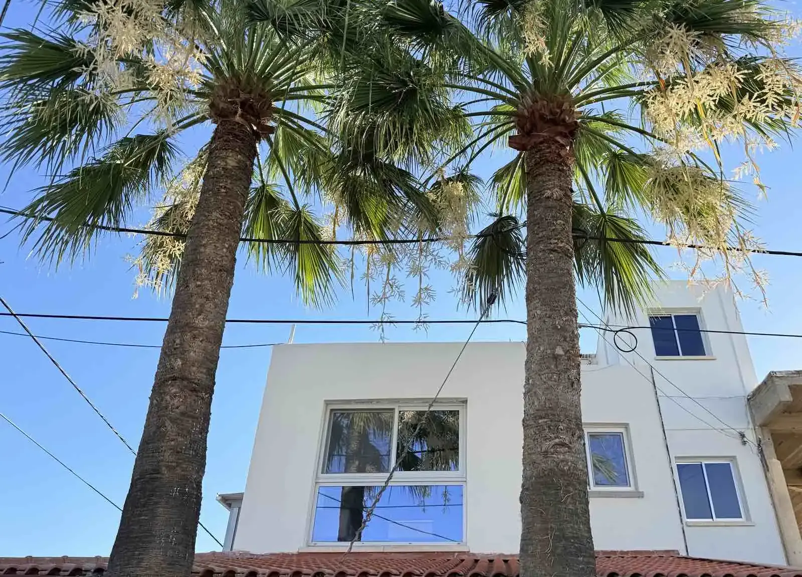 3-bedroom apartment to rent in Lakatameia - Agios Nikolaos