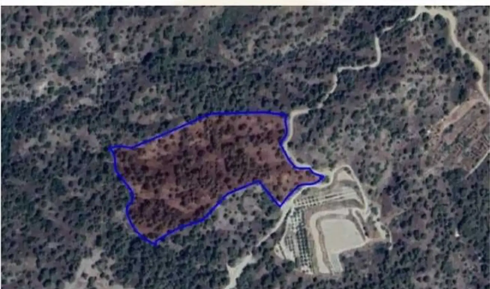 Agricultural Plot 32250 m² in Agios Mamas