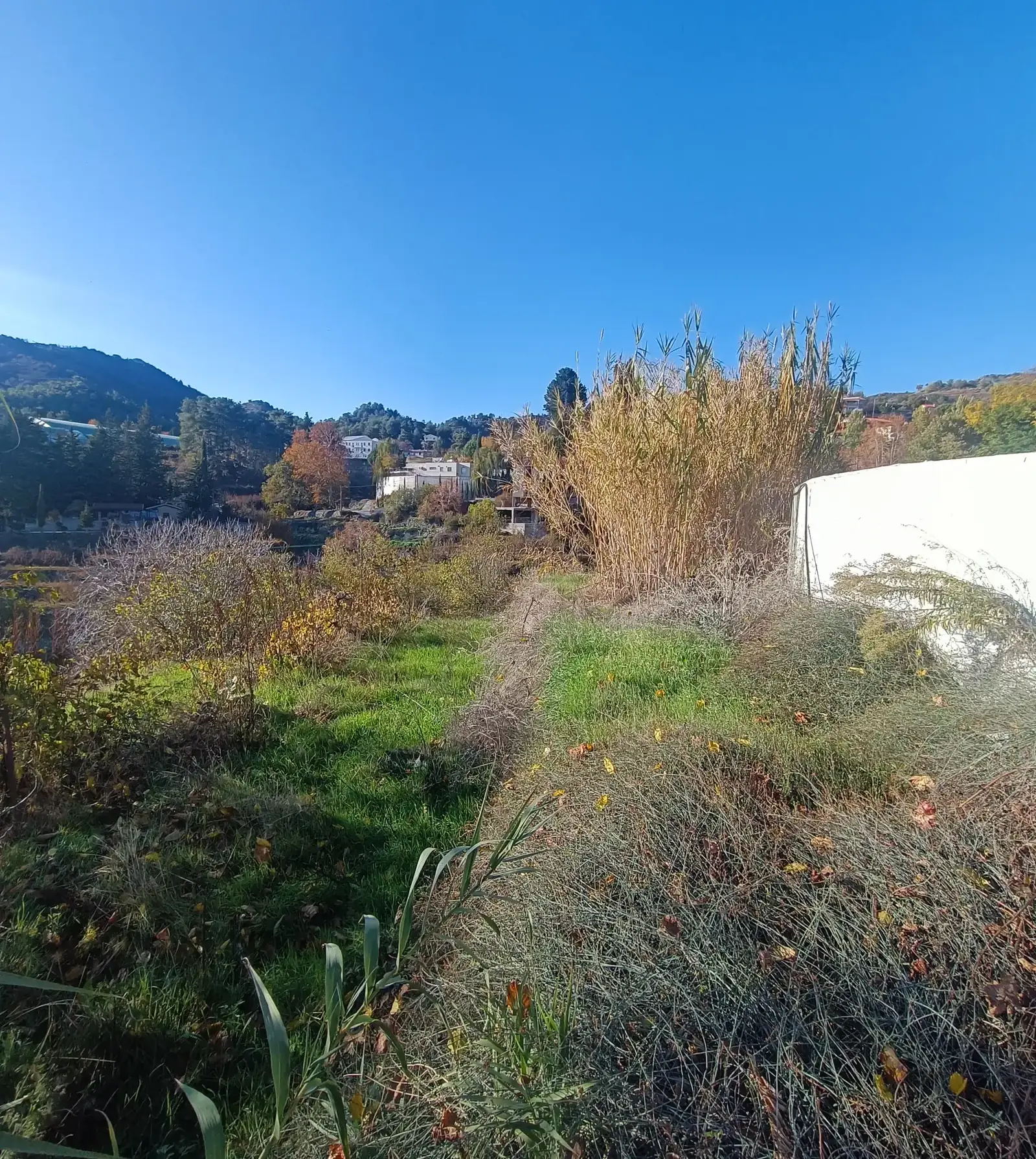Residential Field 363 m² in Agros