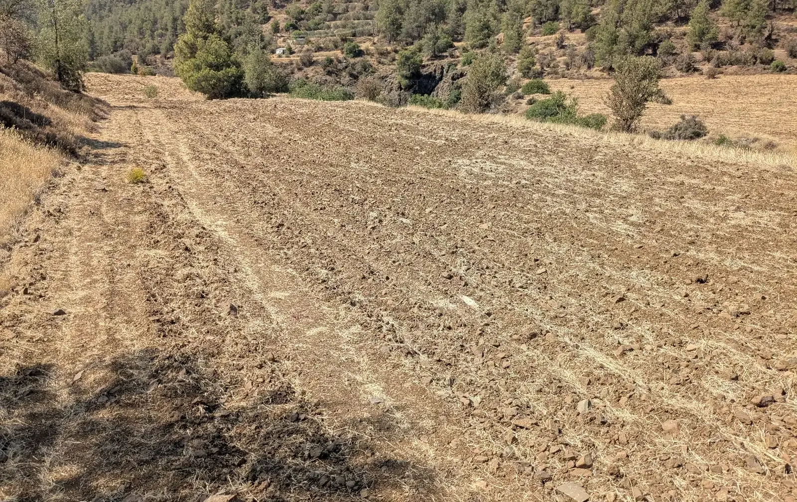 Agricultural Field 5017 m² in Kalo Chorio Oreinis