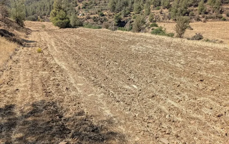 Agricultural Field 5017 m² in Kalo Chorio Oreinis